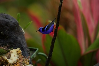 Casa Pink Sky 3BD 3BA – A Private Sanctuary with Volcano & Mountain Views photo 40