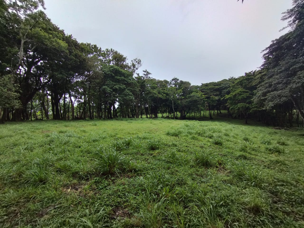 Expansive 30,229 m² (7.46 Acre) Lot w/ House & Scenic Views in Tierras Morenas photo 11