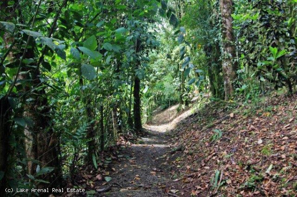 Modern Bali-Style Home, 8 BD, 5 BA 3,70 Acre In Nuevo Arenal photo 35