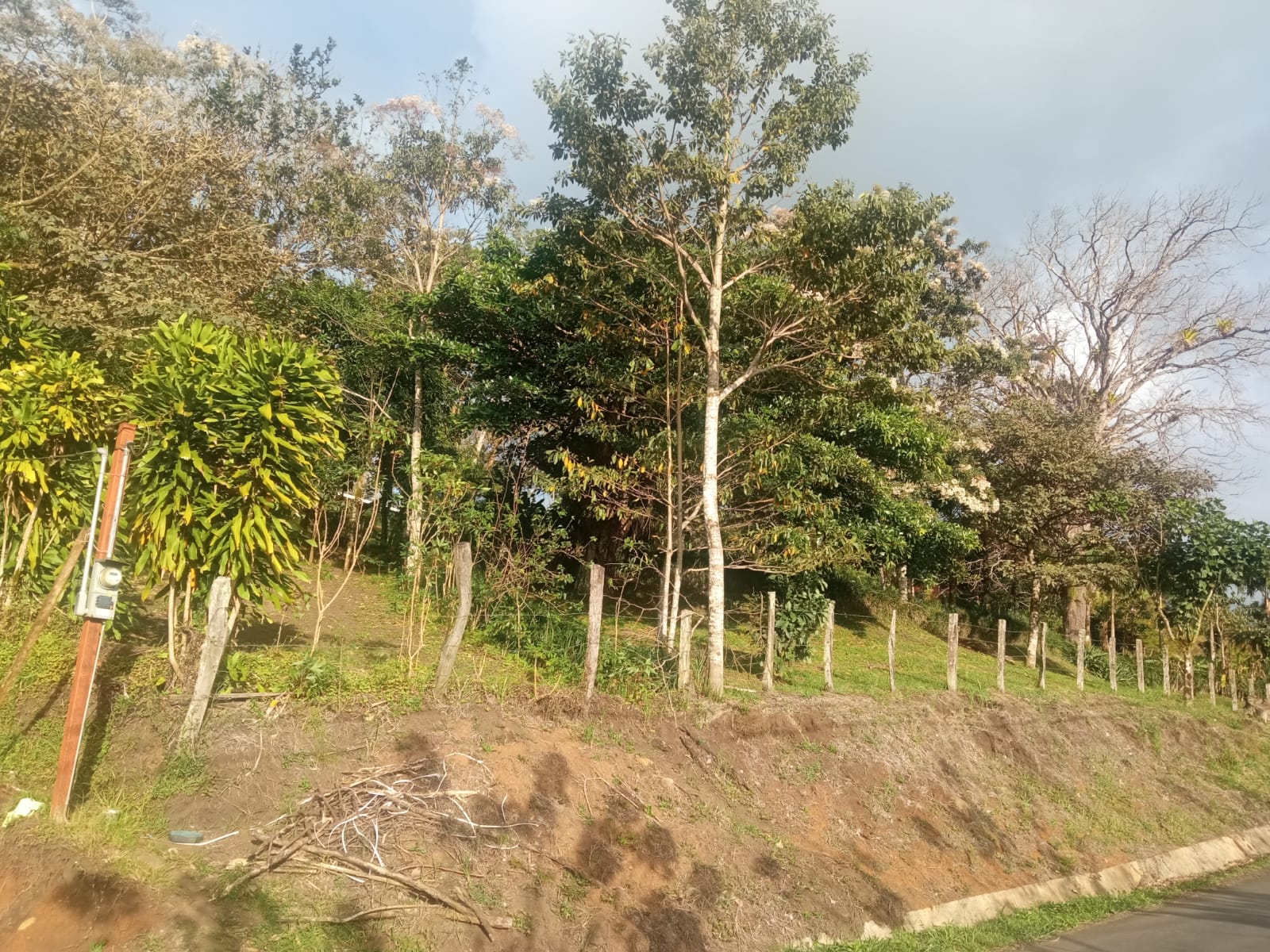 Beautiful, 1407 m2 (0,34 acres) Lot in Parcelas de Quebrada Azul, Tilarán photo 20