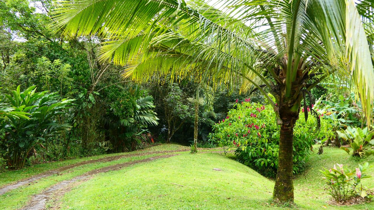 A very unique 1 Bedroom/1 Bathroom Boat House with lake access photo 18