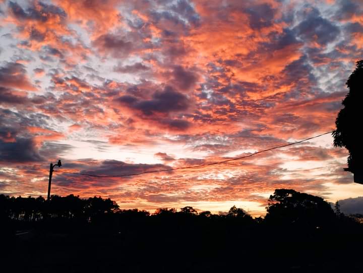 Expansive 30,229 m² (7.46 Acre) Lot w/ House & Scenic Views in Tierras Morenas photo 46