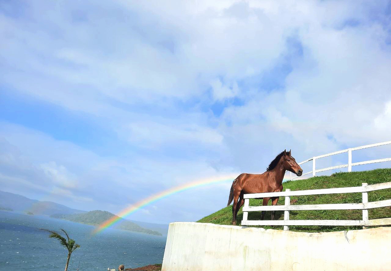 Luxury 7.41 Acre Estate 13 BD 10 BA w/ beautiful views of Lake Arenal & the Volcano  photo 68