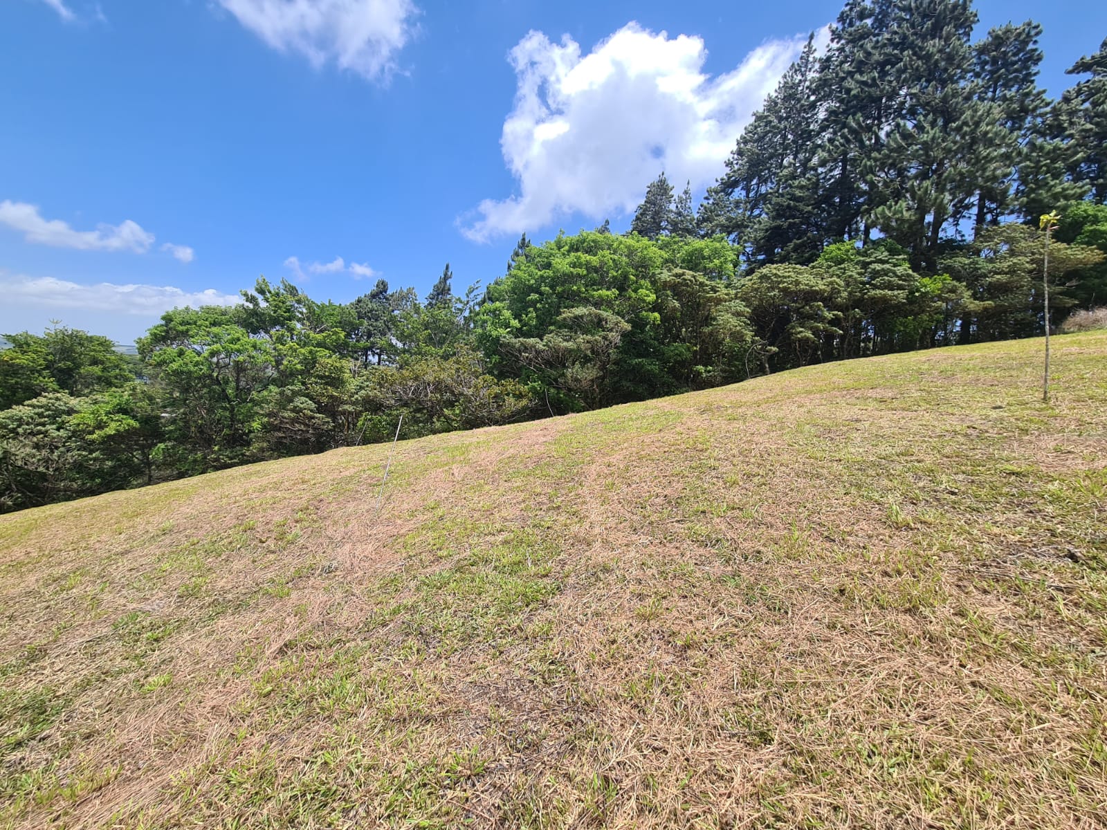 2236 M2 (0,55 acres) Lot with Huge Volcano Views in El Aguacate photo 9