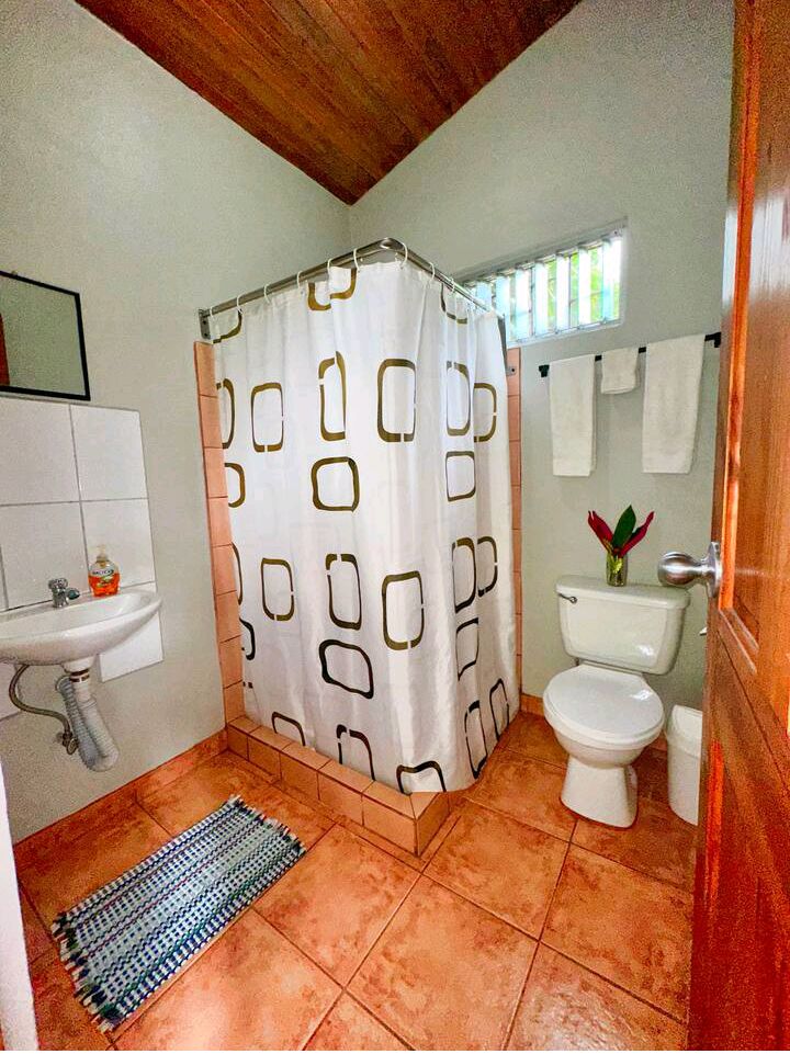 Commercial property: main house + 5 cabins + greenhouse + stable in Cinco Esquinas  photo 31