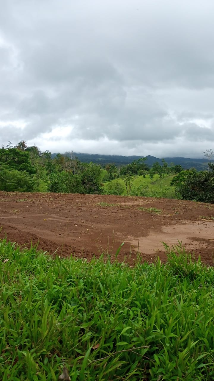 Gorgeous 50,372 m2 (12,4 acre) Farm In Cabanga, Guatuso photo 25