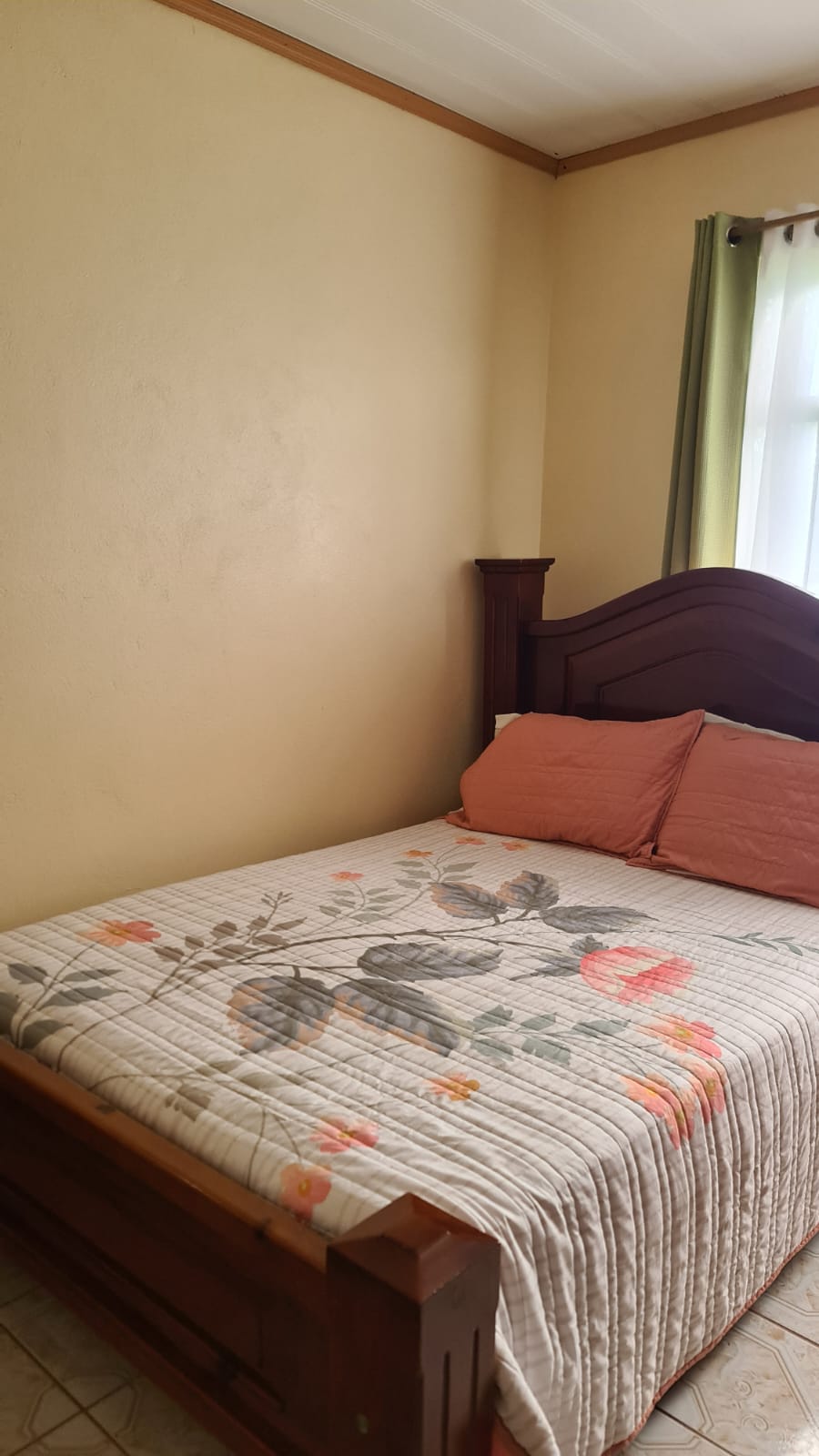 Beautiful, LAKE ACCESS property in Parcelas Santa Maria, Nuevo Arenal  photo 17