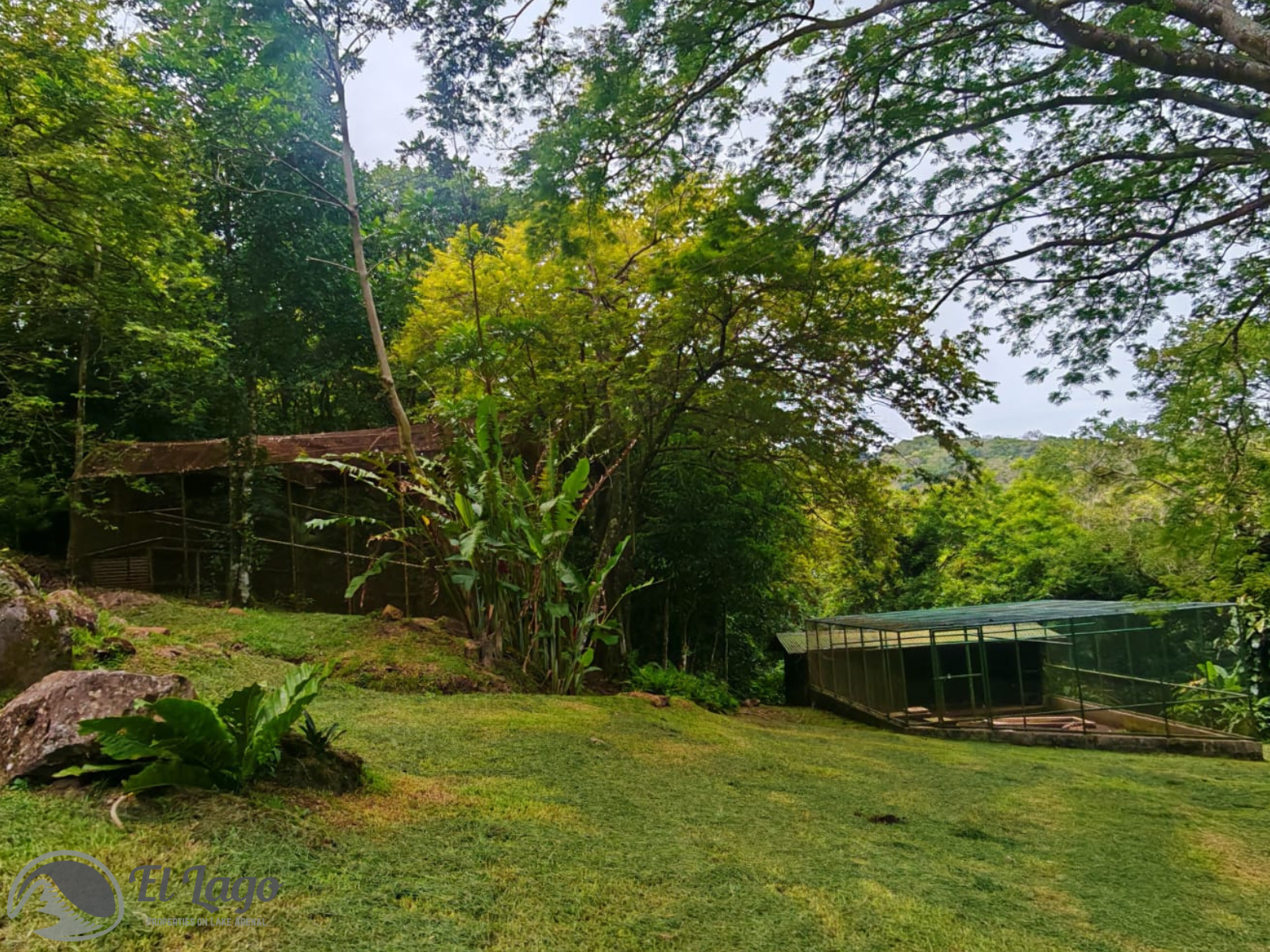 Luxury Estate w/ 8 BD, 9 BA, Private Forest, and Development Potential photo 95