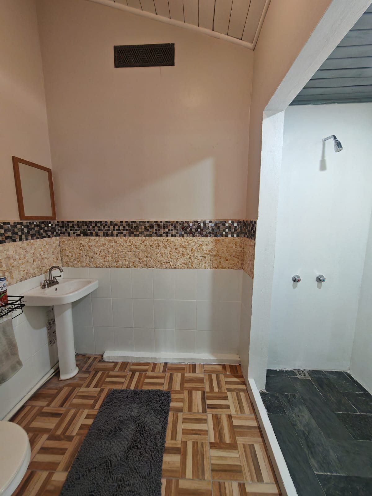 Spacious & Stylish Home 3BD 2BA + Apartment, Fully Furnished In Tronadora photo 37