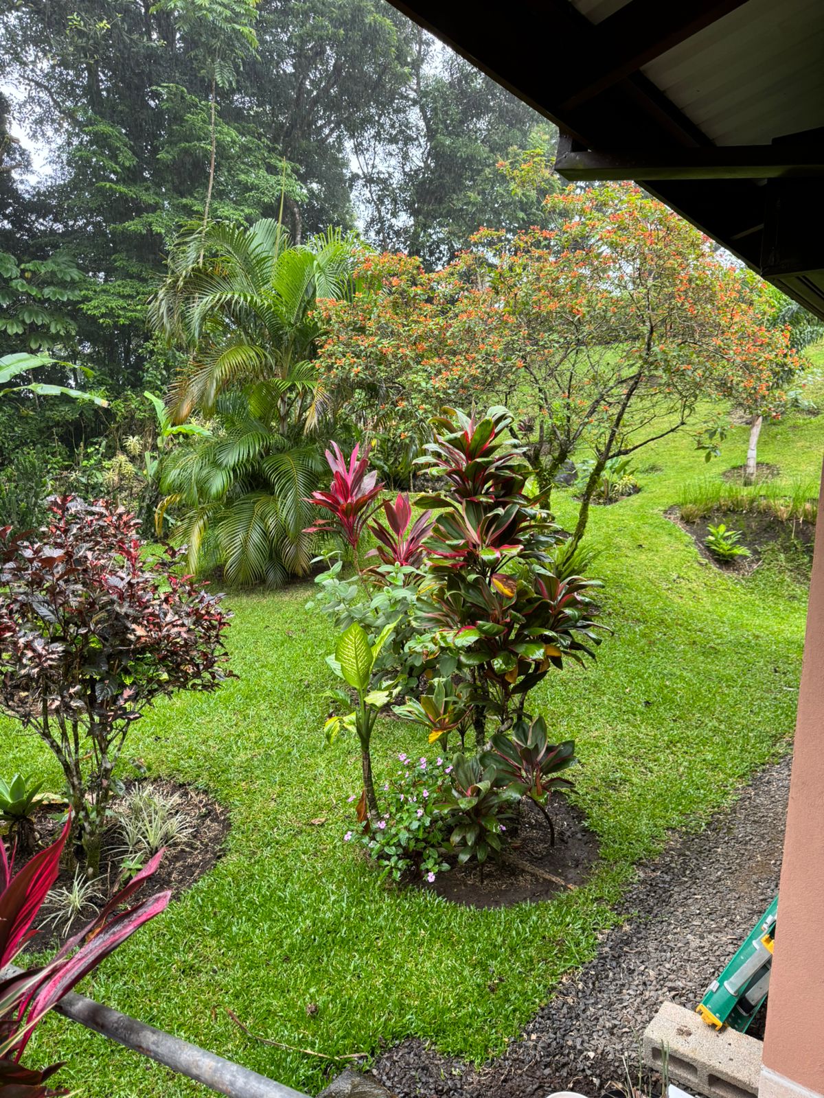 Mountain View Home 2 Bedrooms 2 Bathroom in Sabalito photo 19