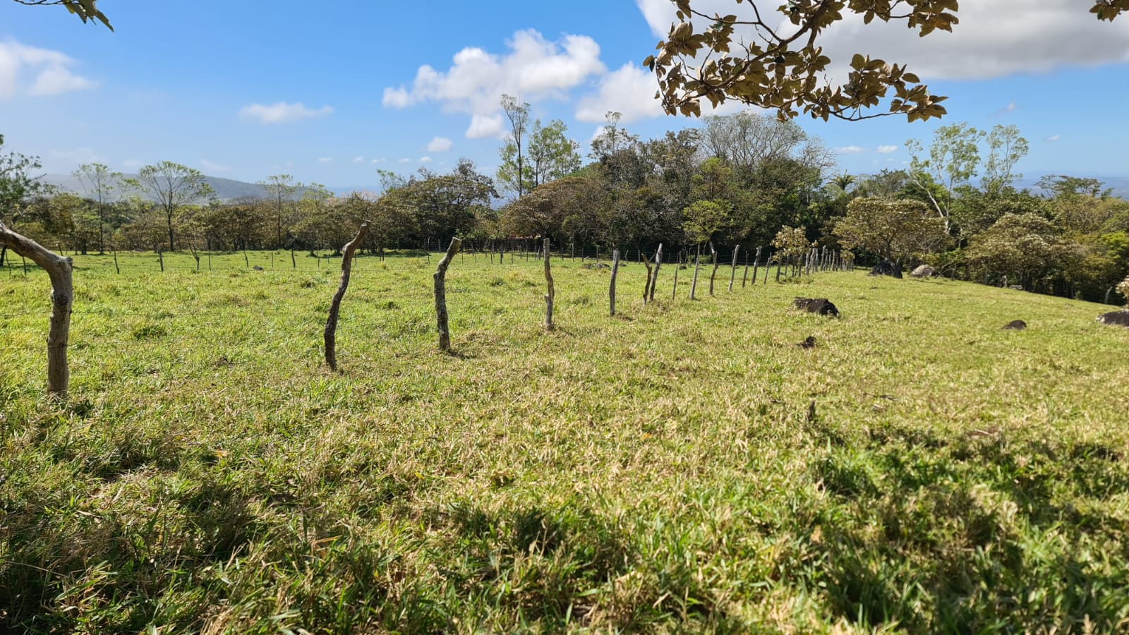 10,000 M2 (2.47 Acre) Lot with Volcano View in Nueva Guatemala photo 8