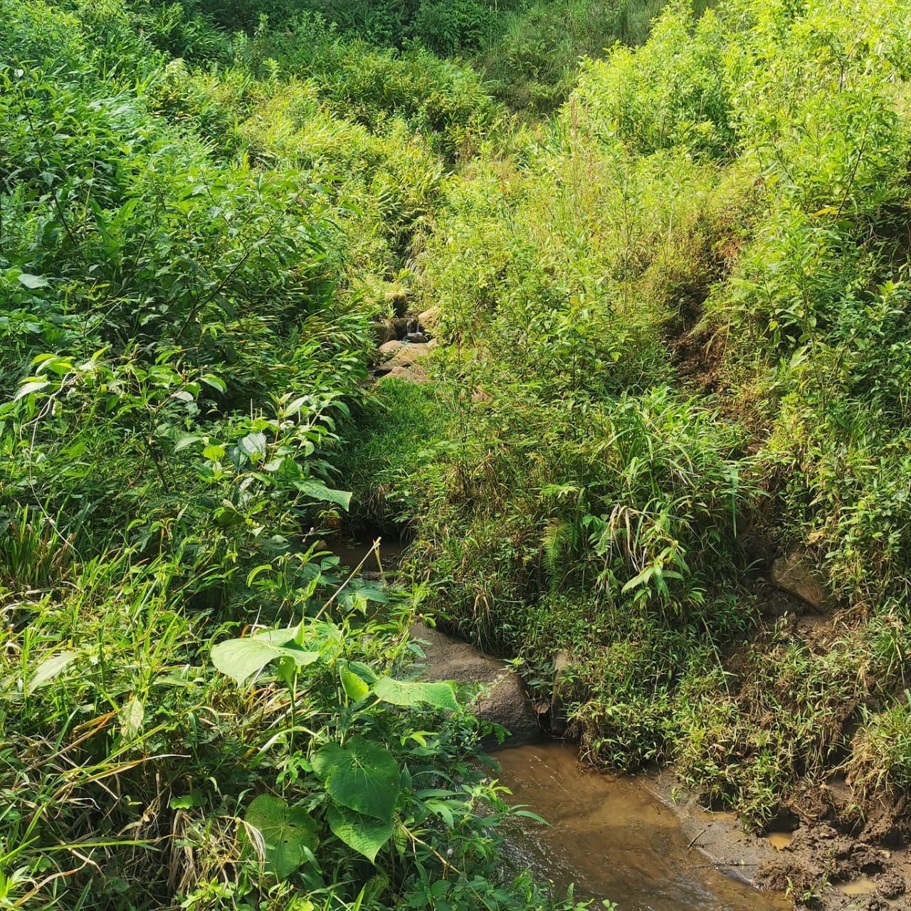 Exceptional 14,445 m² Lot in La Unión, Arenal – Views of Lake Arenal photo 7