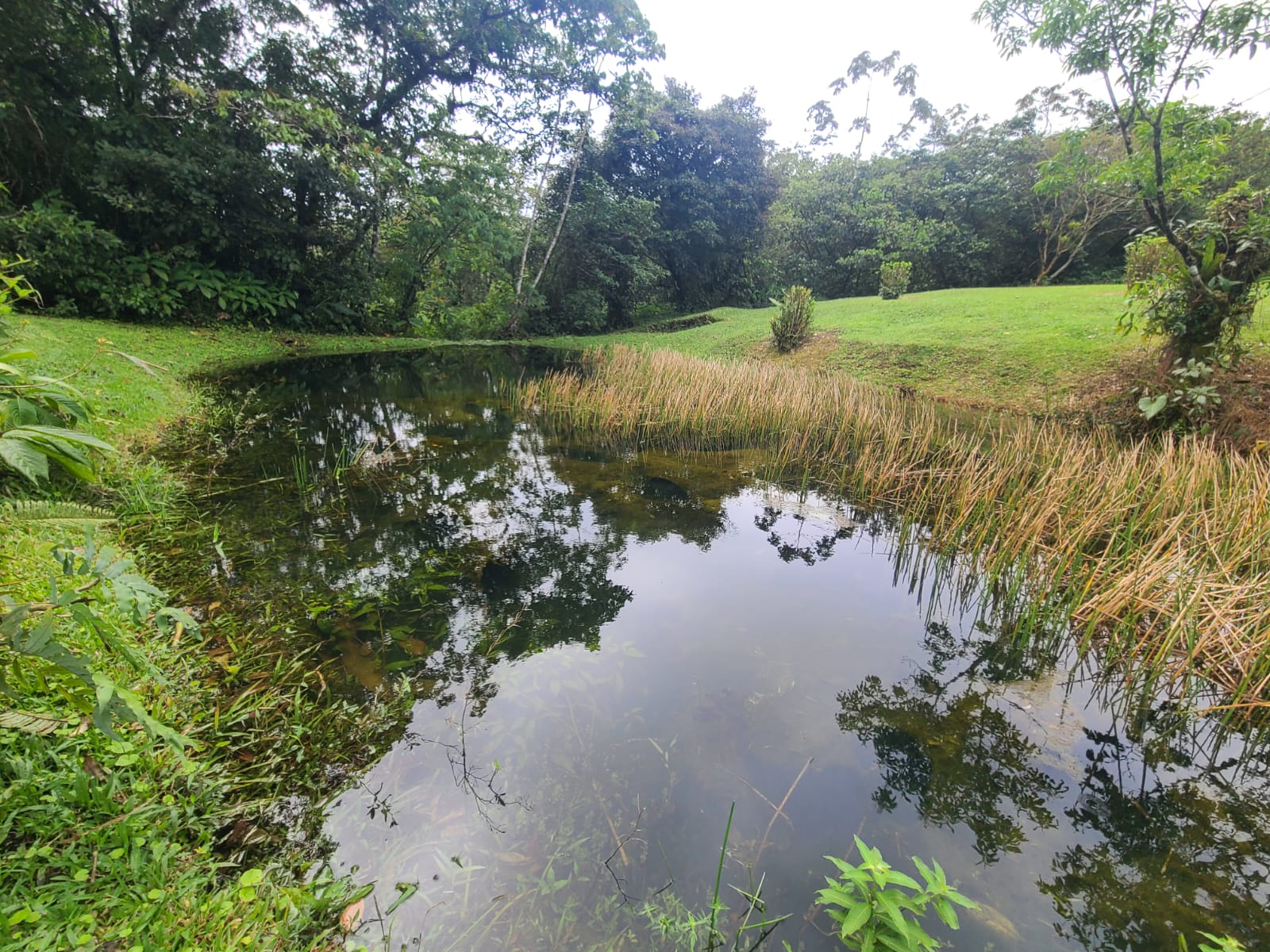 Charming Home 2Bedroom 2Bathroom in Bella Vista Gated Community photo 17