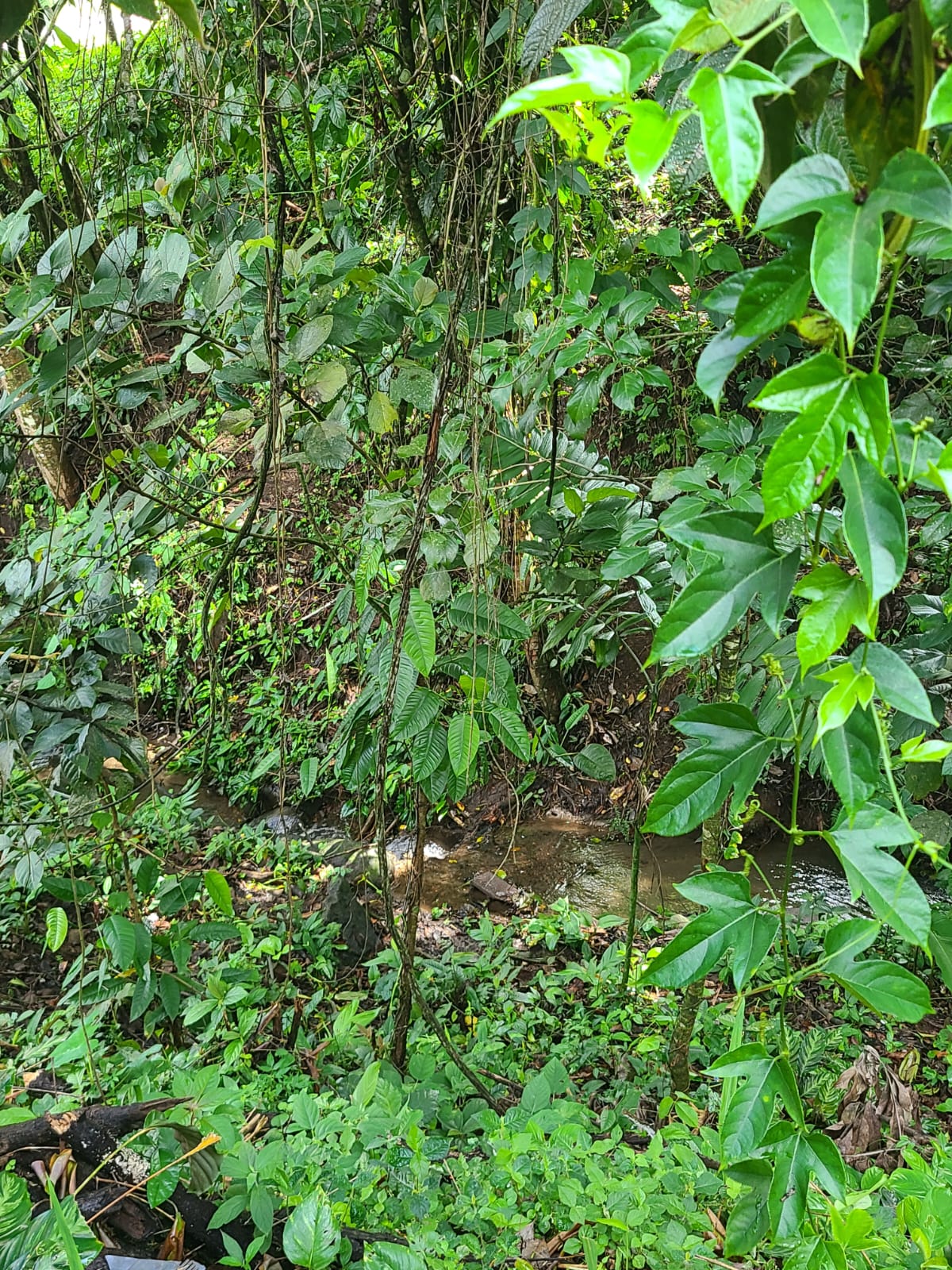 Lovely 2 Bedrooms 1 Bathroom Home In Arenal Downtown photo 15