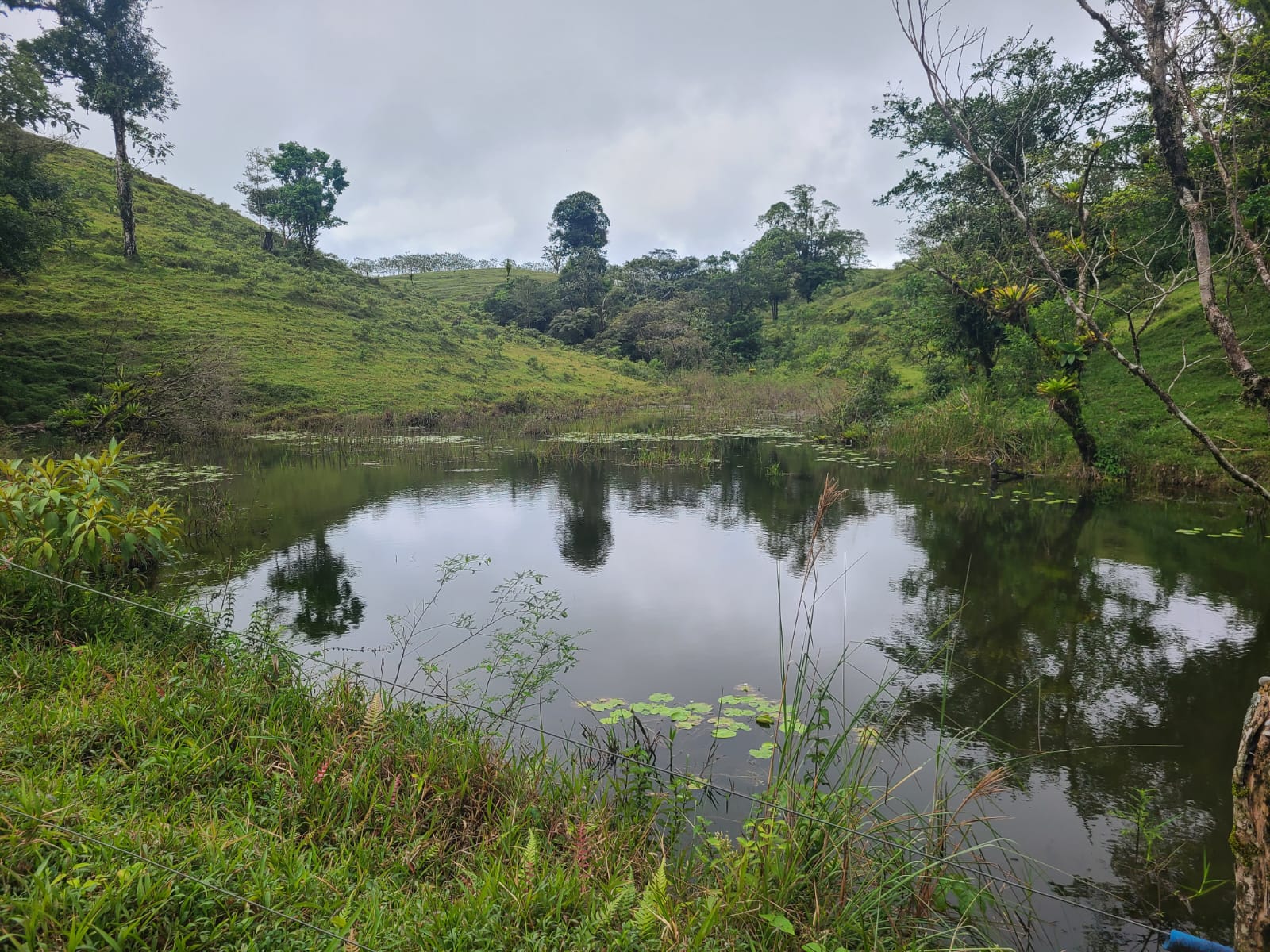 Spectacular 105-Hectare Lot with Lakes, Mountain Views, & Natural Resources  photo 20