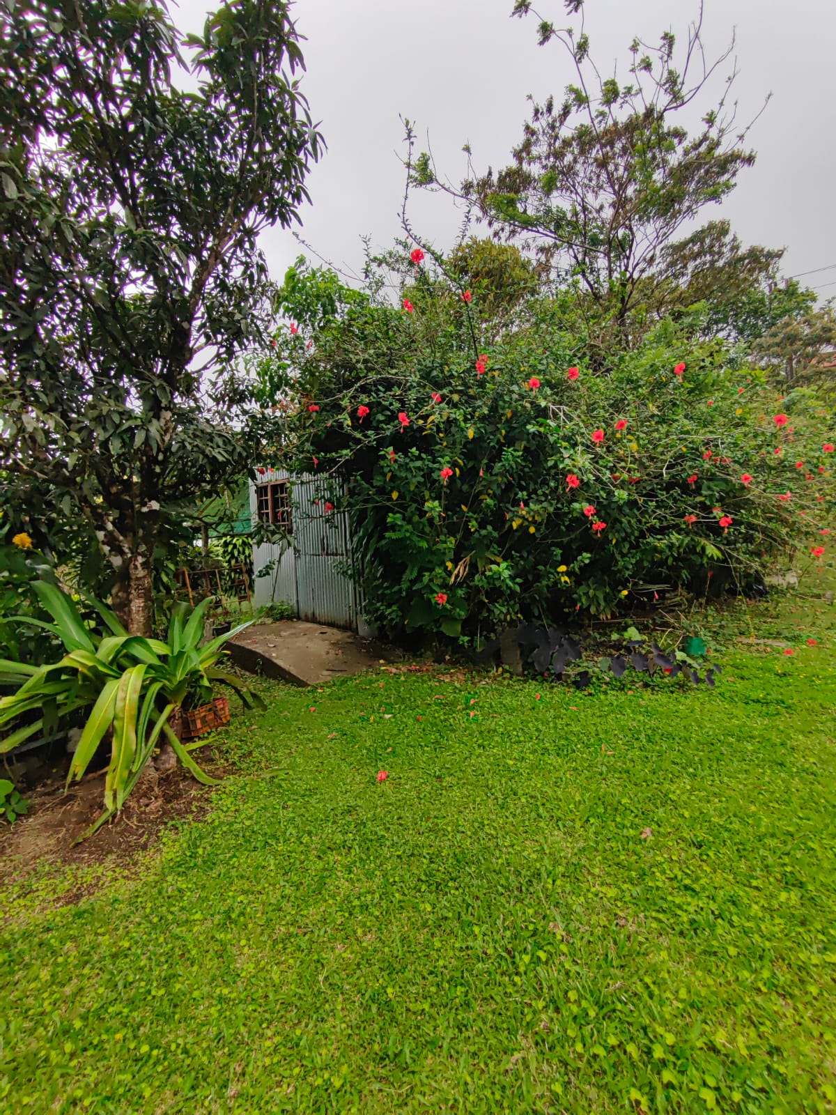 Beautiful, 2 Story, 3BD, 1BA A-Frame Home with Lake and Volcano Views- Nuevo Arenal photo 26