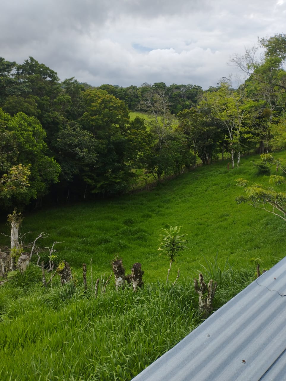 Expansive 30,229 m² (7.46 Acre) Lot w/ House & Scenic Views in Tierras Morenas photo 17