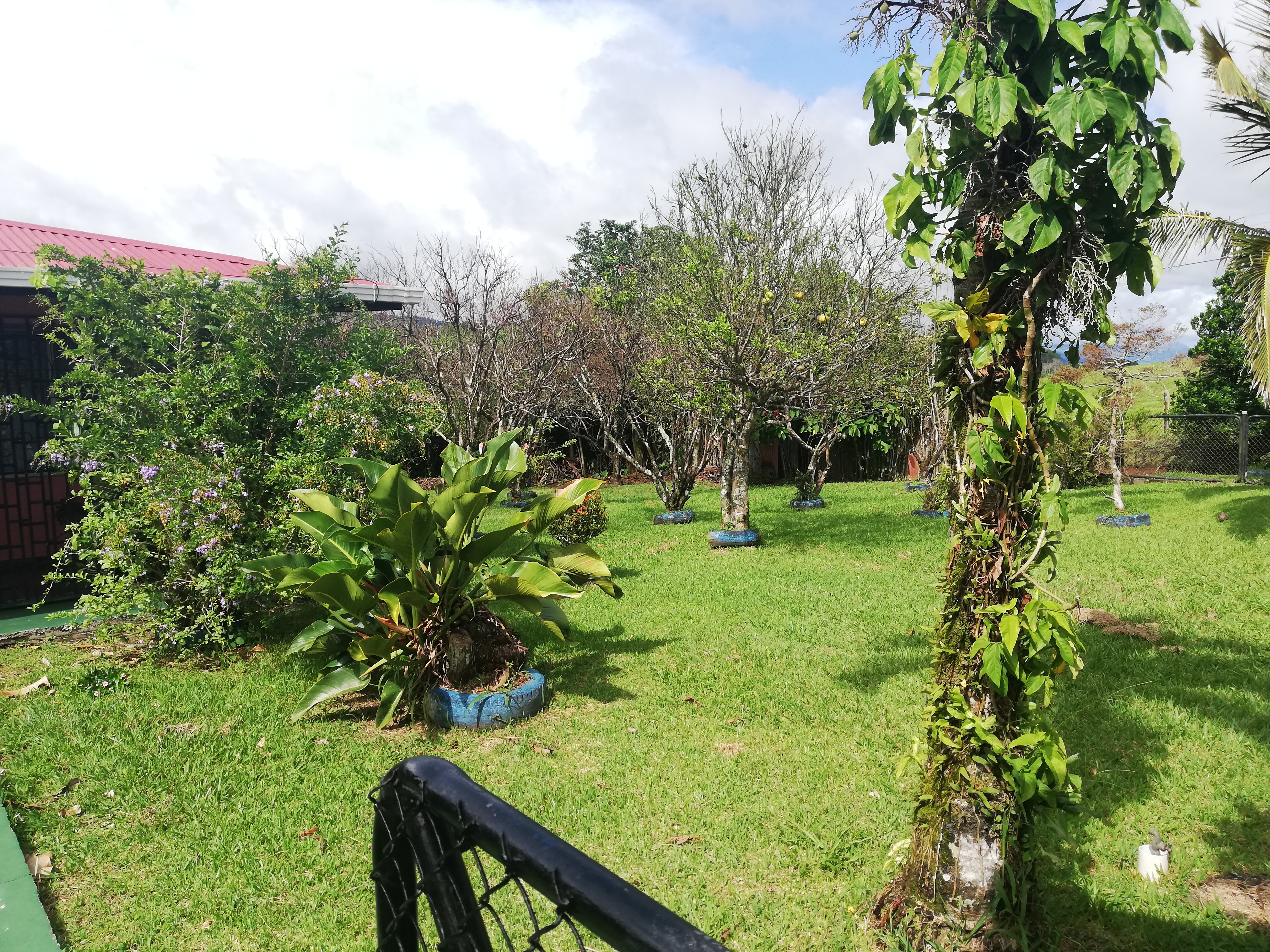 3 Bedroom 1 Bathroom Tico Home On Beautiful, Flat, 764.45m2 Lot In Sabalito  photo 19