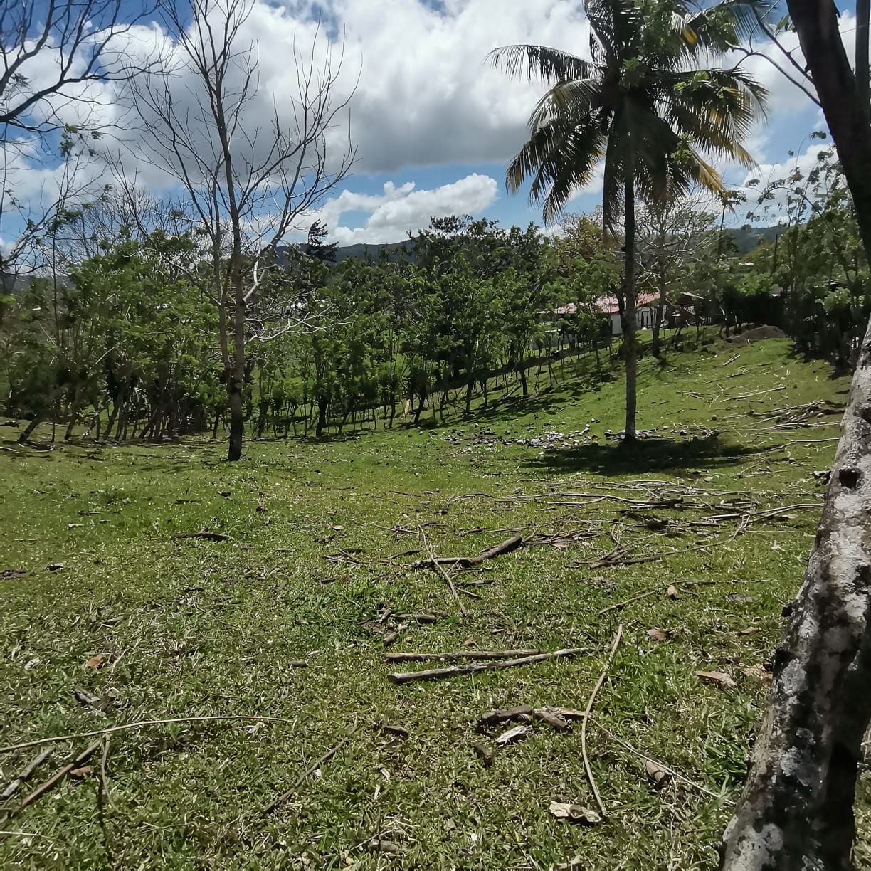 12,510 M2 (3.09 acre) LAKE VIEW Property with Volcano Views in Tronadora  photo 6