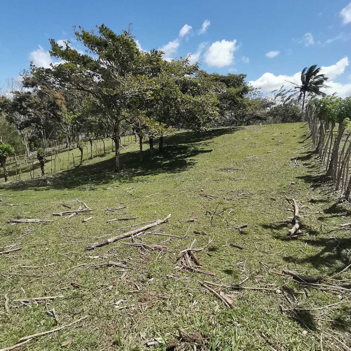 12,510 M2 (3.09 acre) LAKE VIEW Property with Volcano Views in Tronadora  photo 9