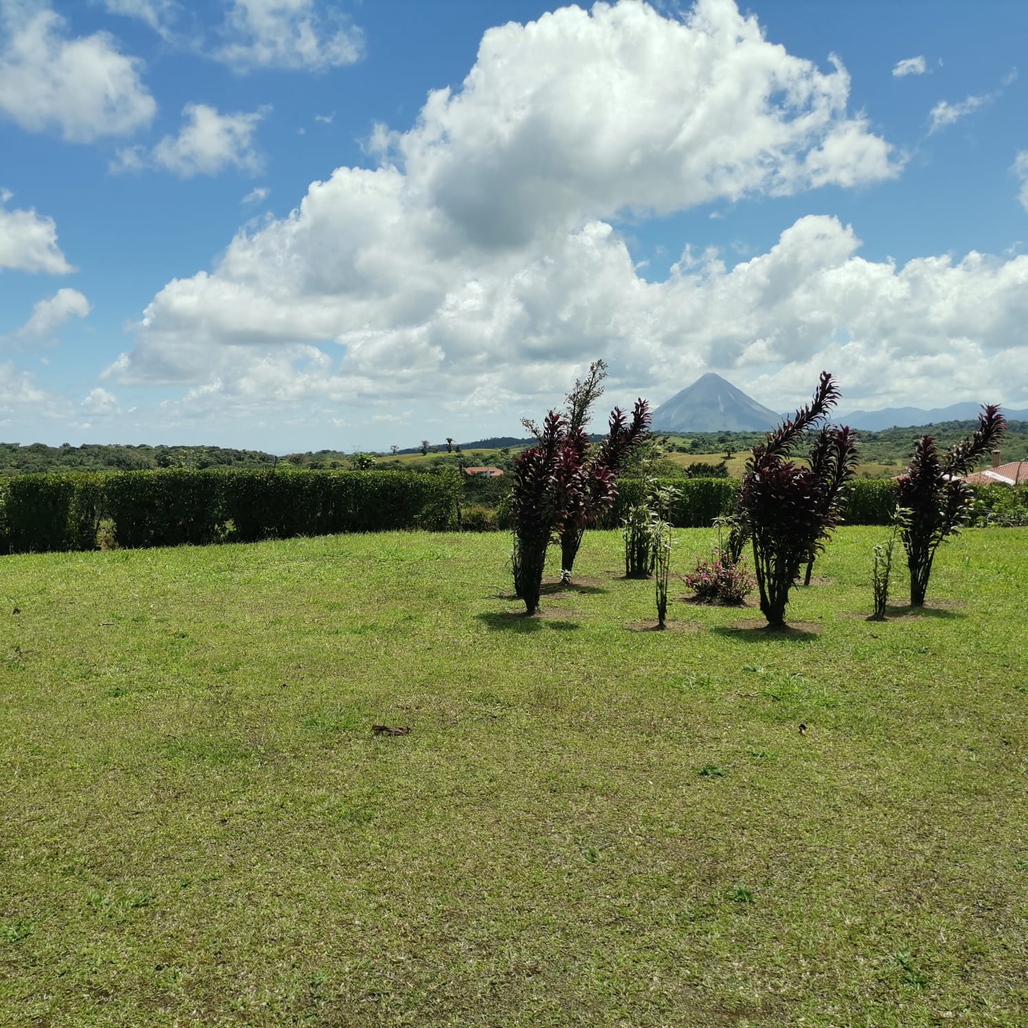 Beautiful, 3 bedroom, 3.5 bathroom, Mountain Top Home in Gated Community photo 24