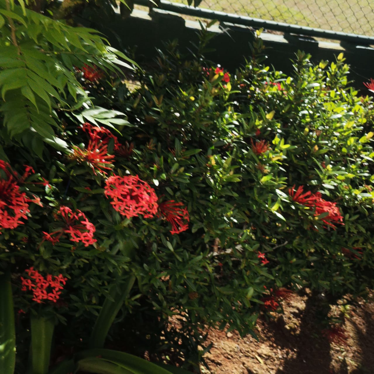 Lovely 2  Story Home + 2 Rental Cabins near Downtown Nuevo Arenal photo 33