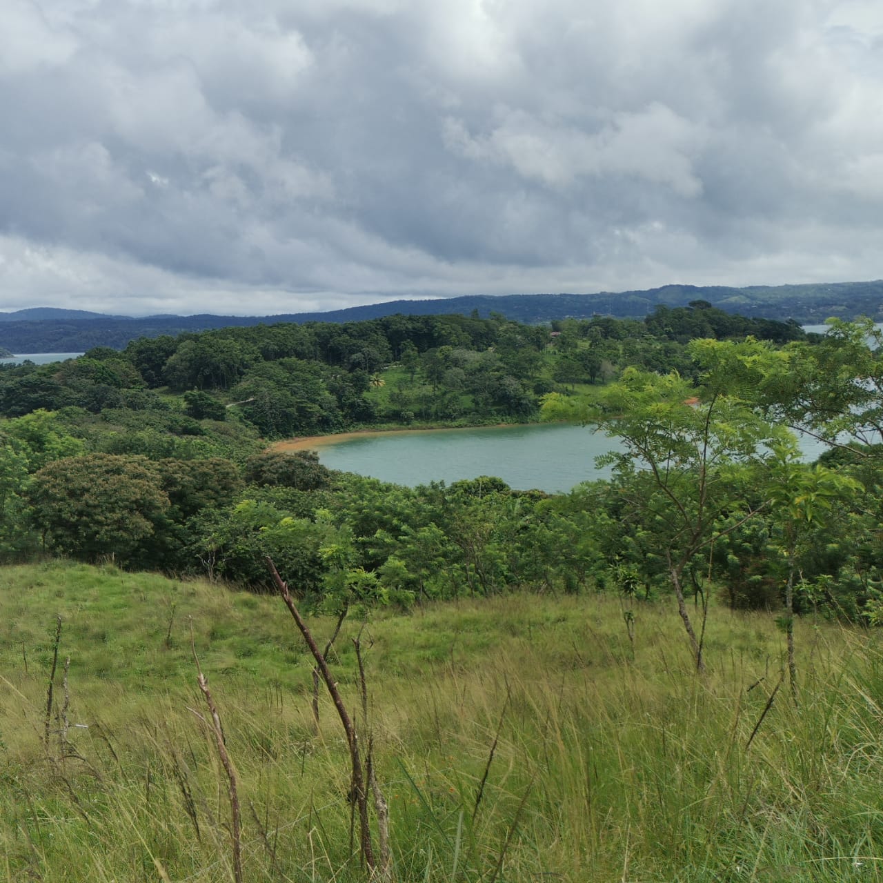 Large, Lake and Volcano View Parcel with Modest Tico Home and LAKE ACCESS  photo 8