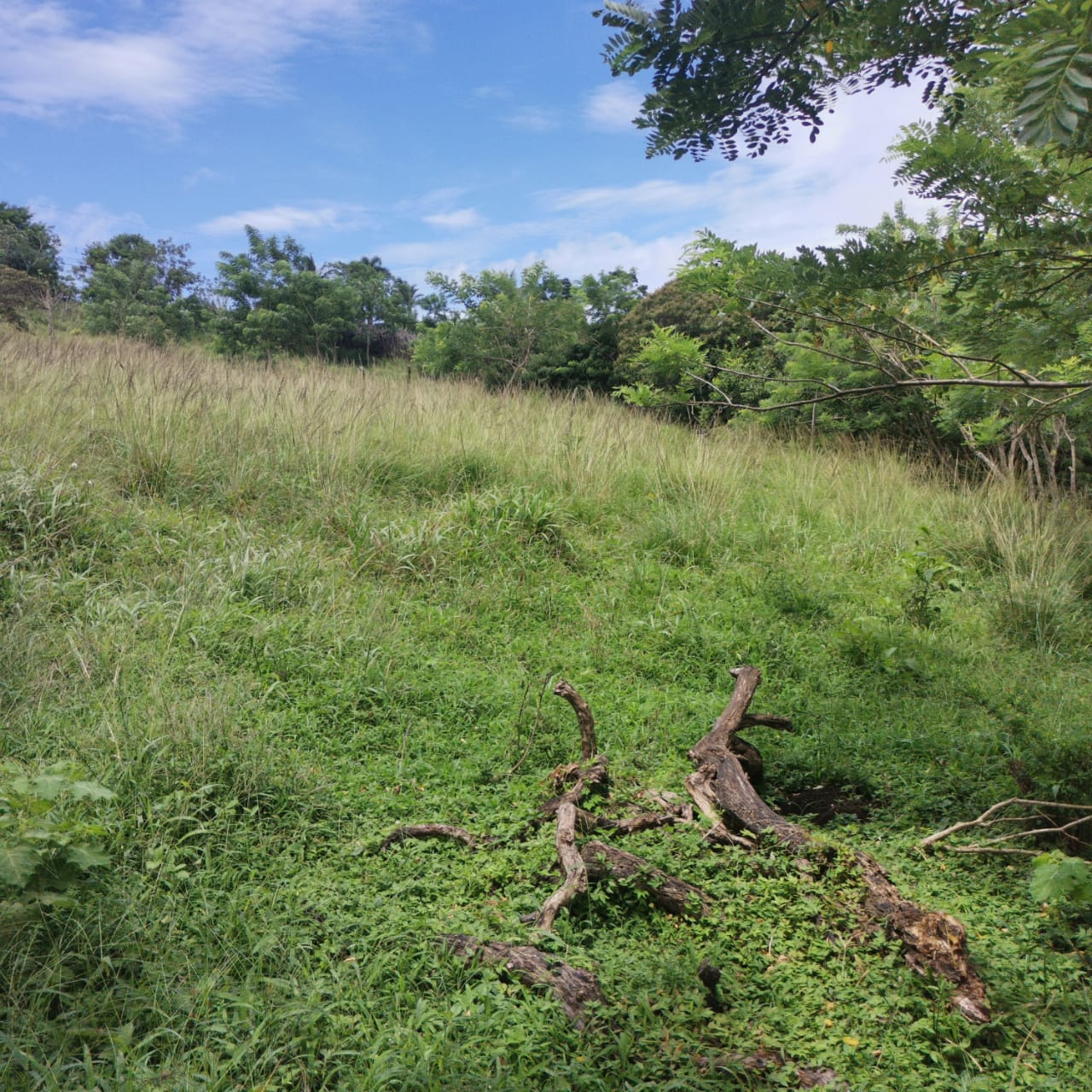 Large, Lake and Volcano View Parcel with Modest Tico Home and LAKE ACCESS  photo 43