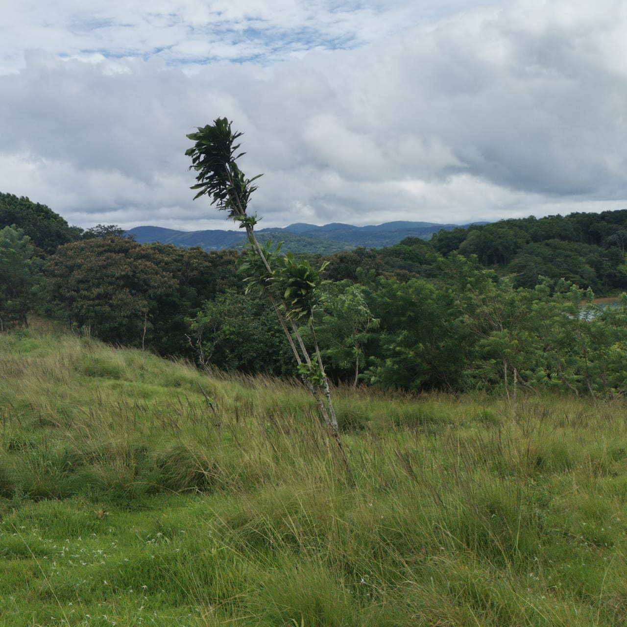 Large, Lake and Volcano View Parcel with Modest Tico Home and LAKE ACCESS  photo 45