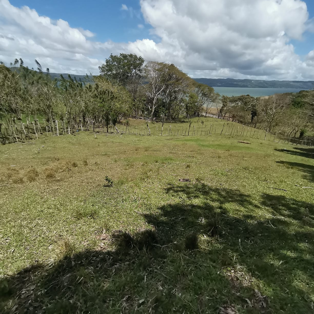 12,510 M2 (3.09 acre) LAKE VIEW Property with Volcano Views in Tronadora  photo 15