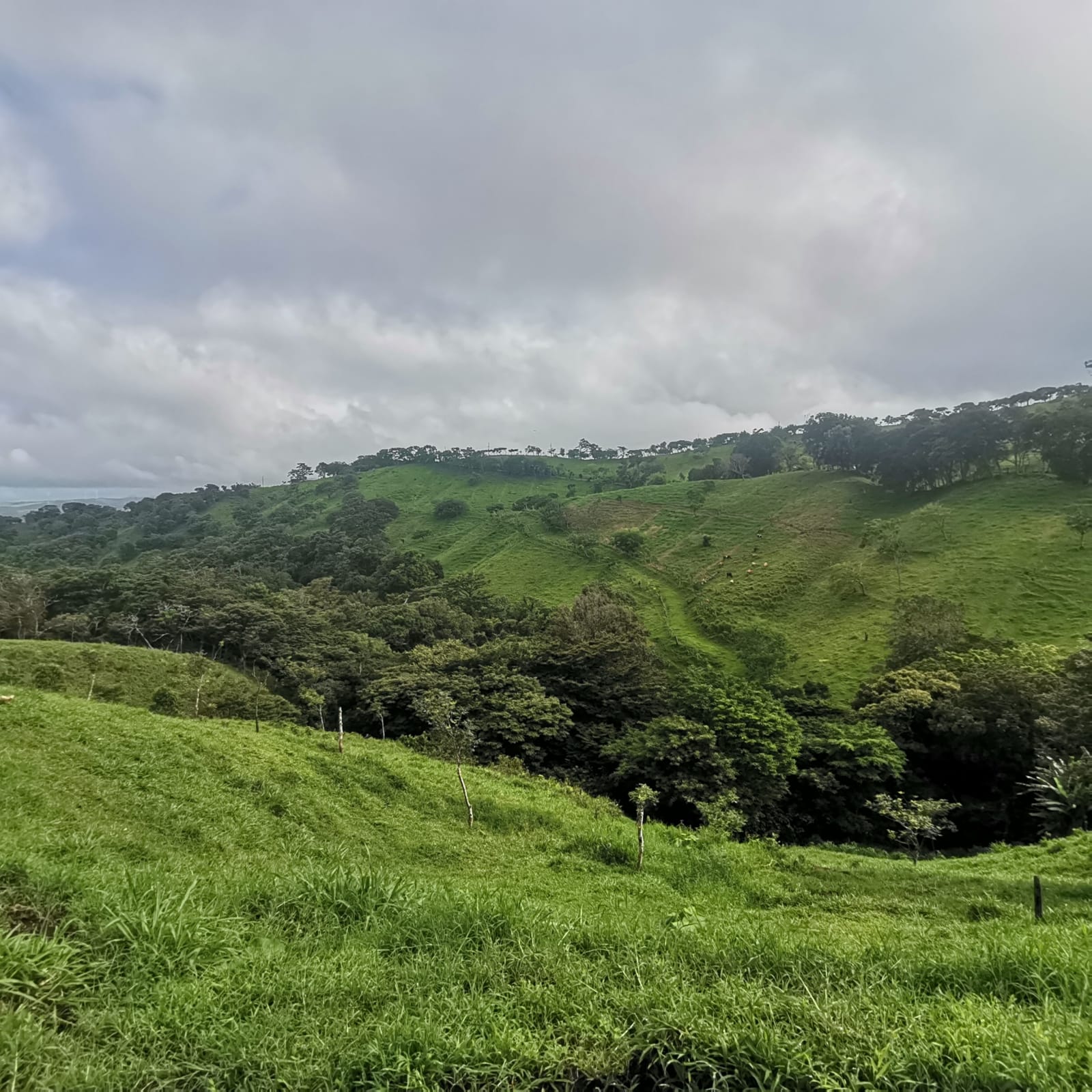 Sprawling 7 Hectare (17.3 acre) Mountain View Farm in Tilaran  photo 22