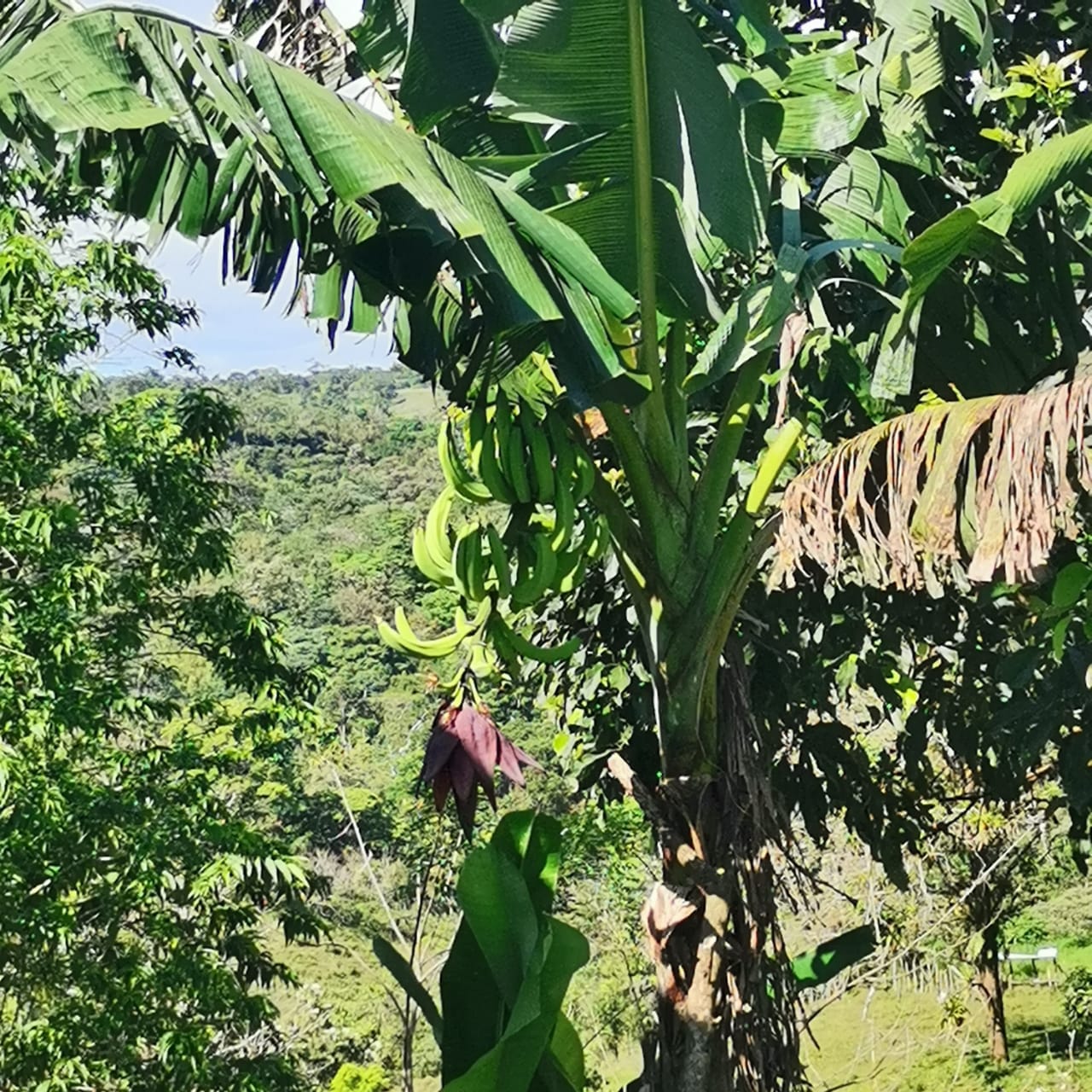 Lovely 2  Story Home + 2 Rental Cabins near Downtown Nuevo Arenal photo 32