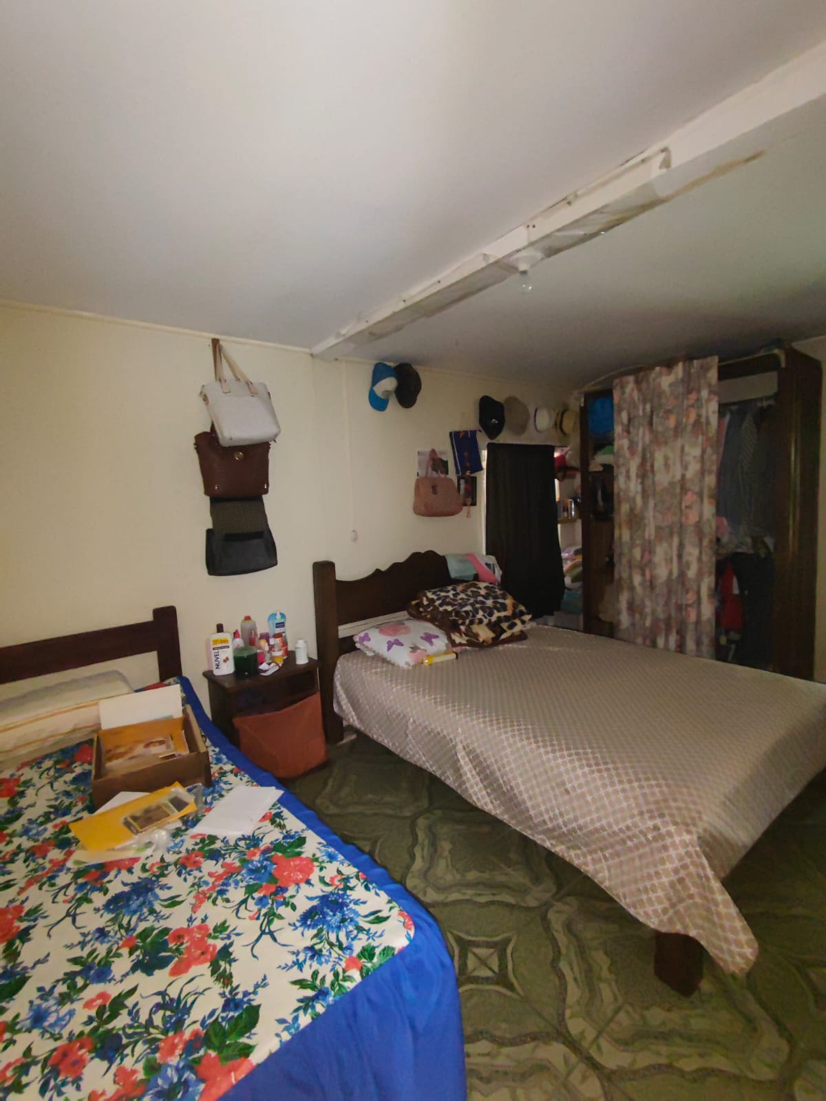 11,800m2 Producing Fruit Farm with Private Well + Modest Tico Home  photo 63