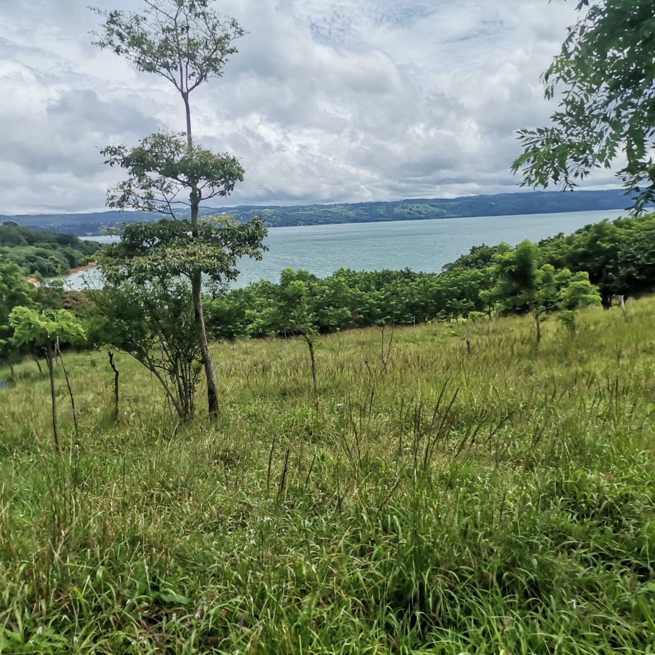 Large, Lake and Volcano View Parcel with Modest Tico Home and LAKE ACCESS  photo 12