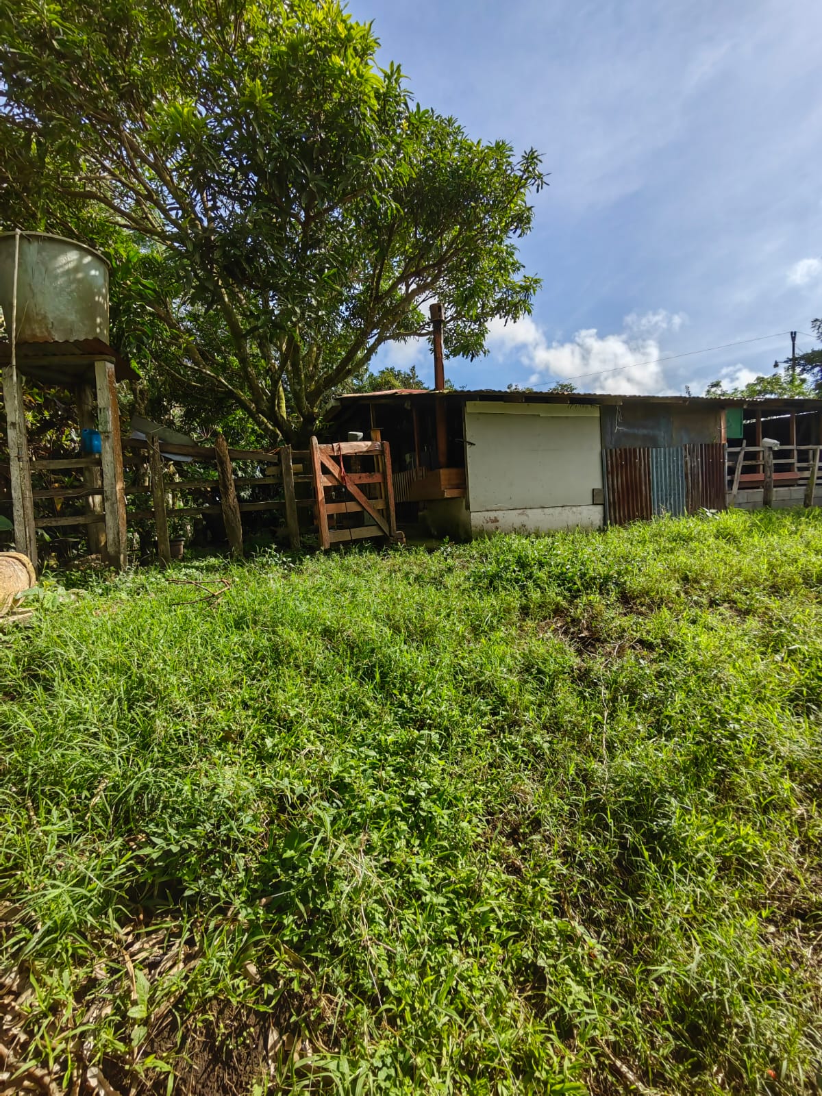 11,800m2 Producing Fruit Farm with Private Well + Modest Tico Home  photo 44