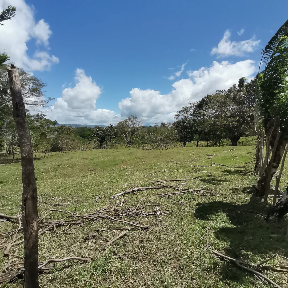 12,510 M2 (3.09 acre) LAKE VIEW Property with Volcano Views in Tronadora  photo 16