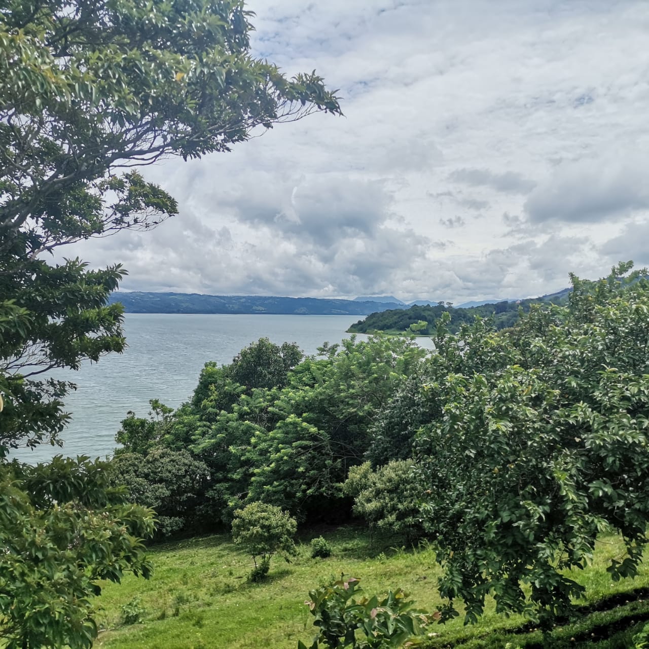 Large, Lake and Volcano View Parcel with Modest Tico Home and LAKE ACCESS  photo 27