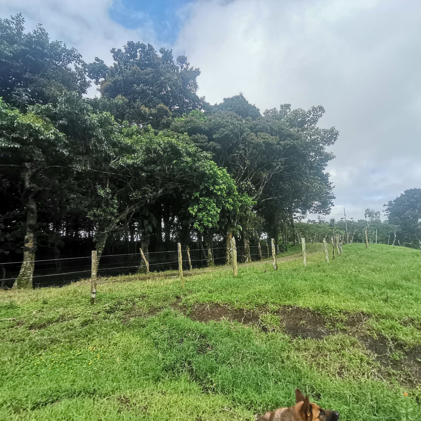 Sprawling 7 Hectare (17.3 acre) Mountain View Farm in Tilaran  photo 6