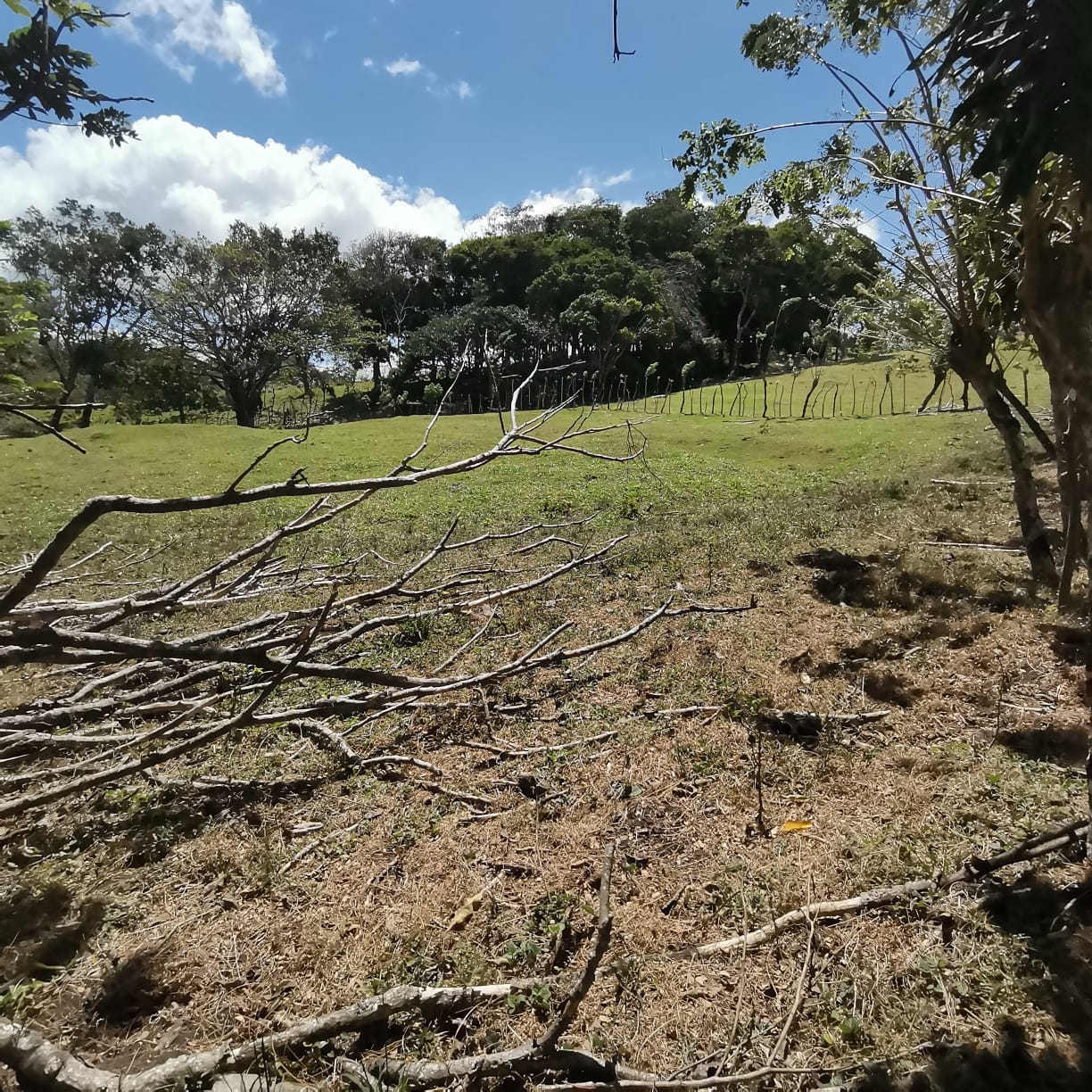 12,510 M2 (3.09 acre) LAKE VIEW Property with Volcano Views in Tronadora  photo 17