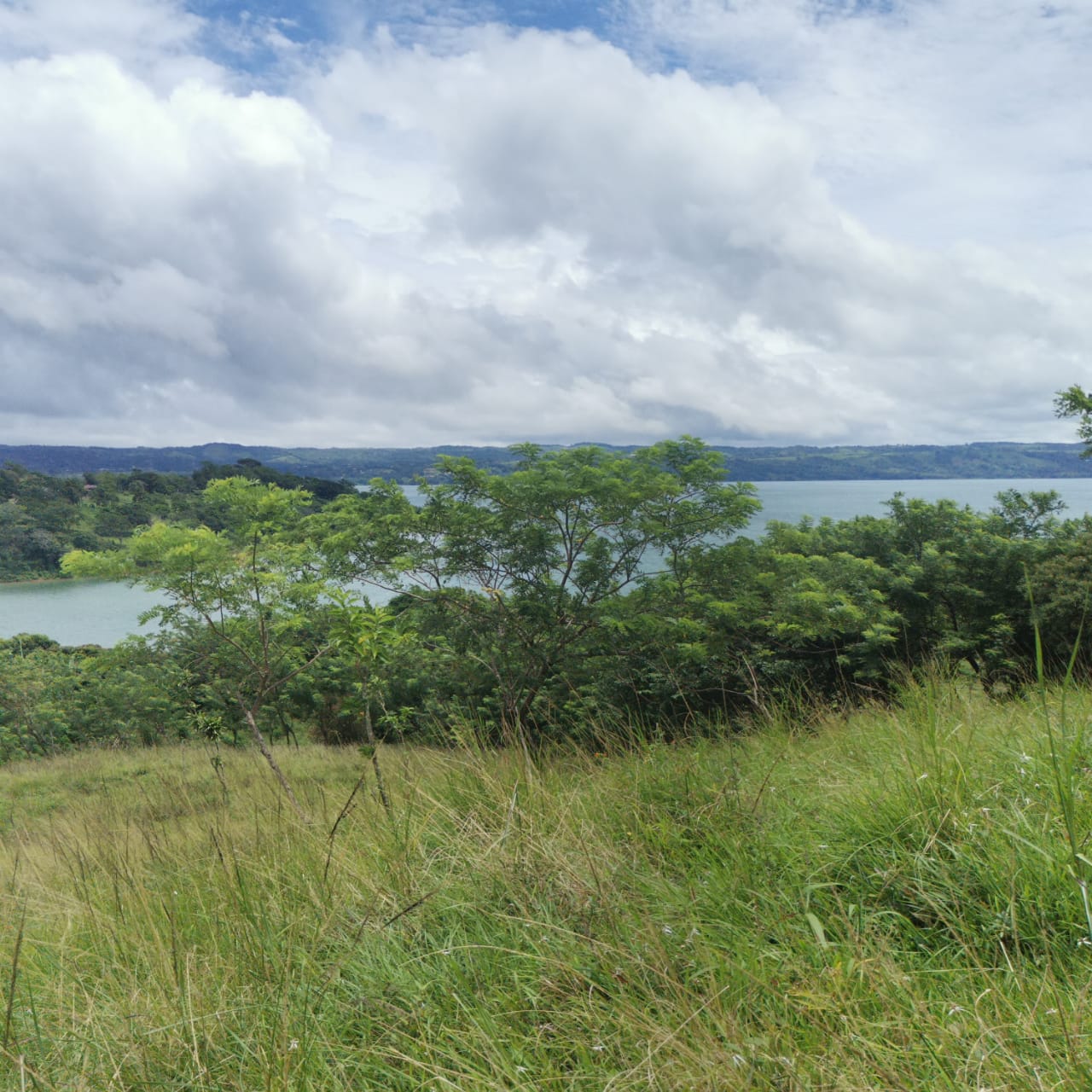 Large, Lake and Volcano View Parcel with Modest Tico Home and LAKE ACCESS  photo 9