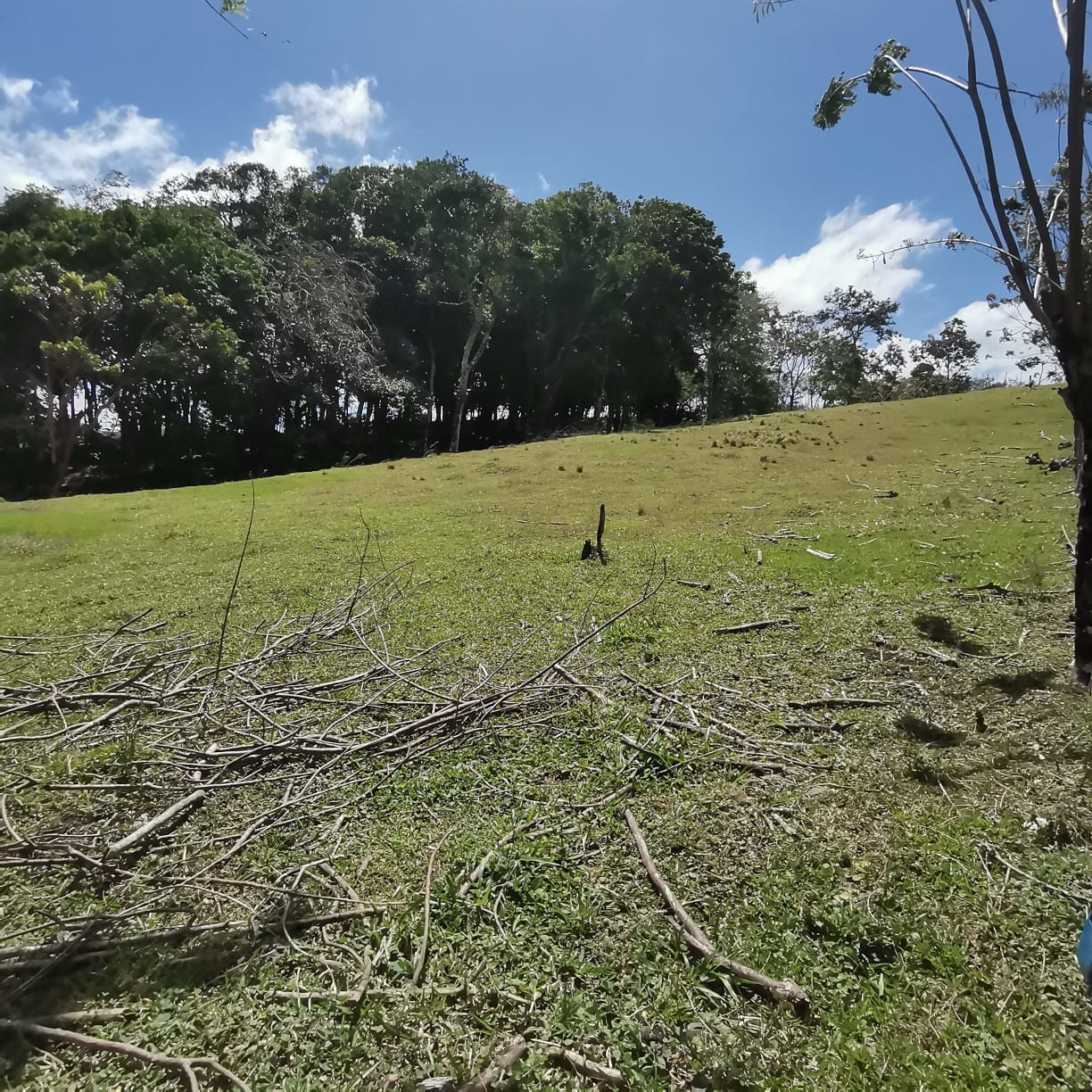 12,510 M2 (3.09 acre) LAKE VIEW Property with Volcano Views in Tronadora  photo 11