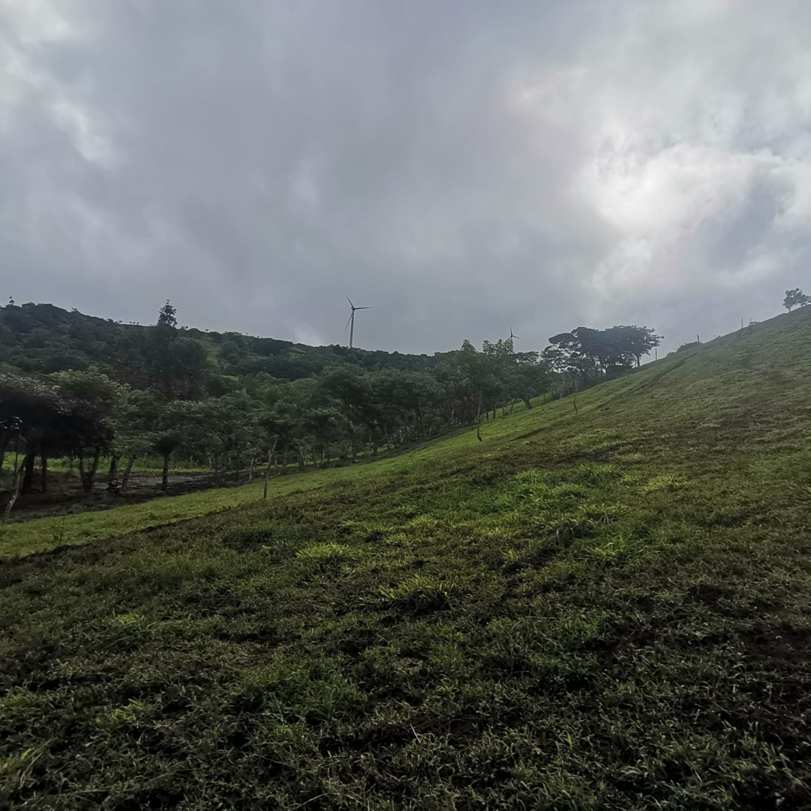 Sprawling 7 Hectare (17.3 acre) Mountain View Farm in Tilaran  photo 11
