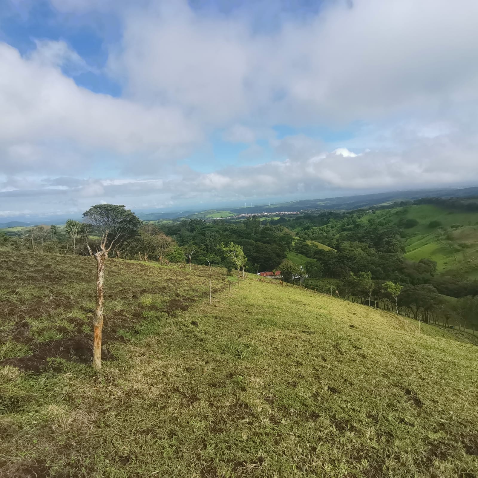 Sprawling 7 Hectare (17.3 acre) Mountain View Farm in Tilaran  photo 16