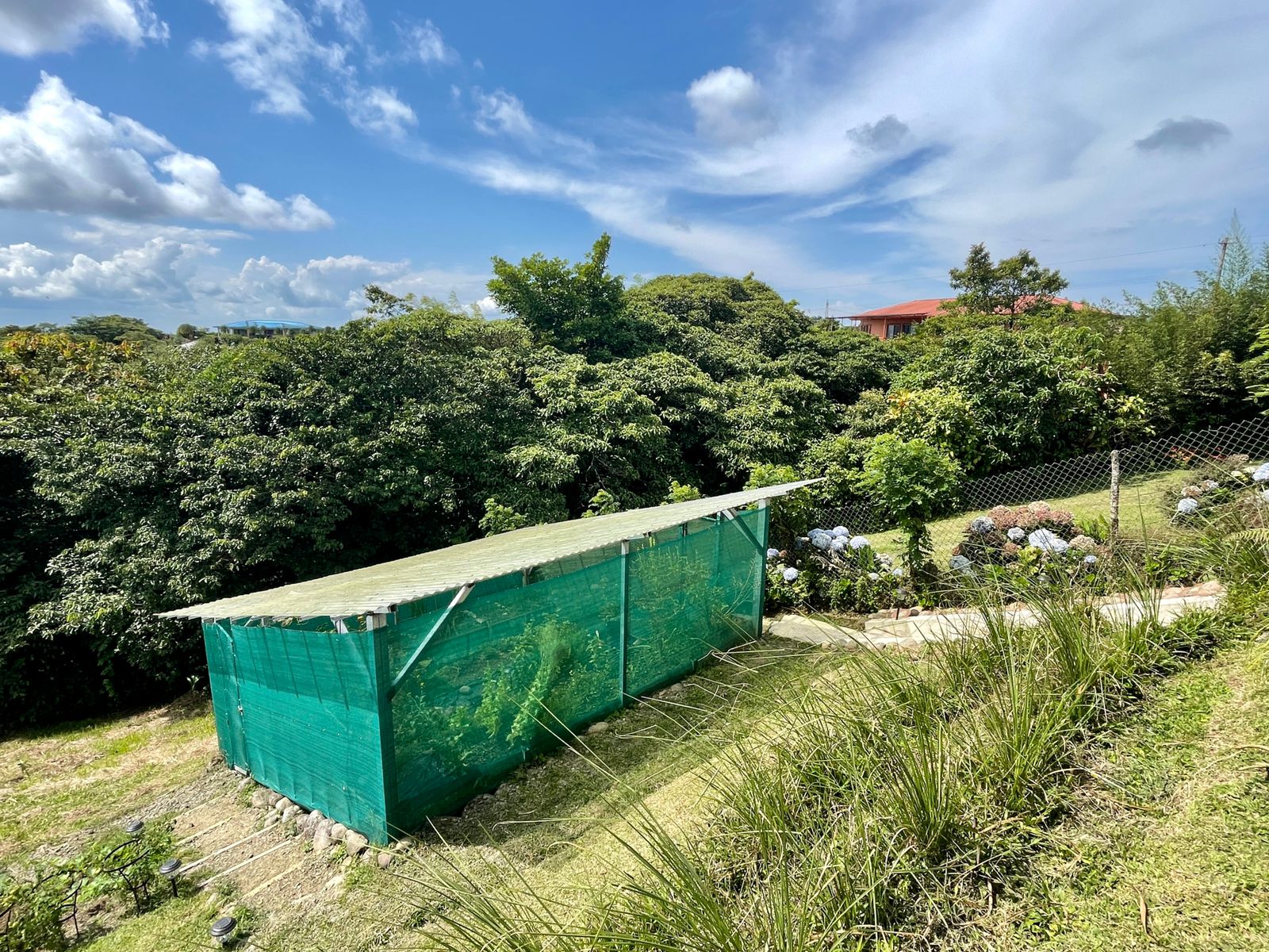 Mountain Top, Solar Powered, 3 bedroom Home in Nuevo Arenal  photo 21