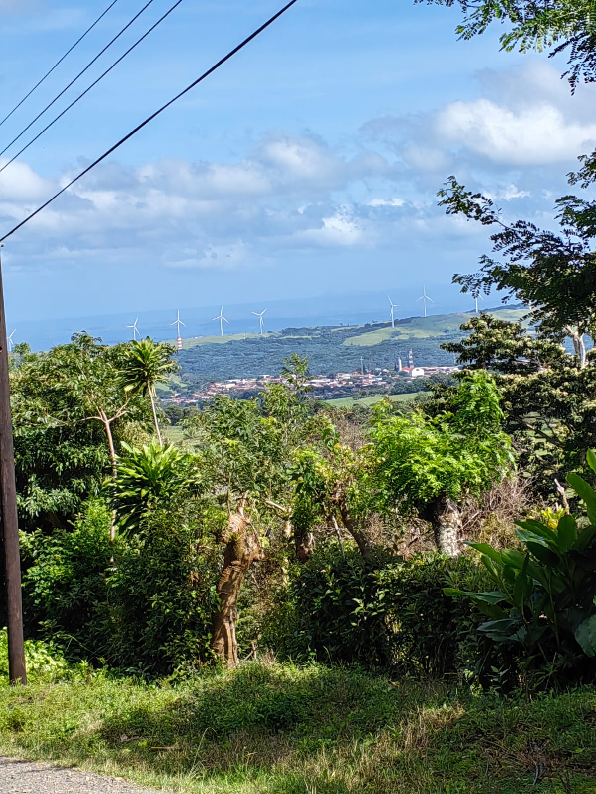 11,800m2 Producing Fruit Farm with Private Well + Modest Tico Home  photo 53