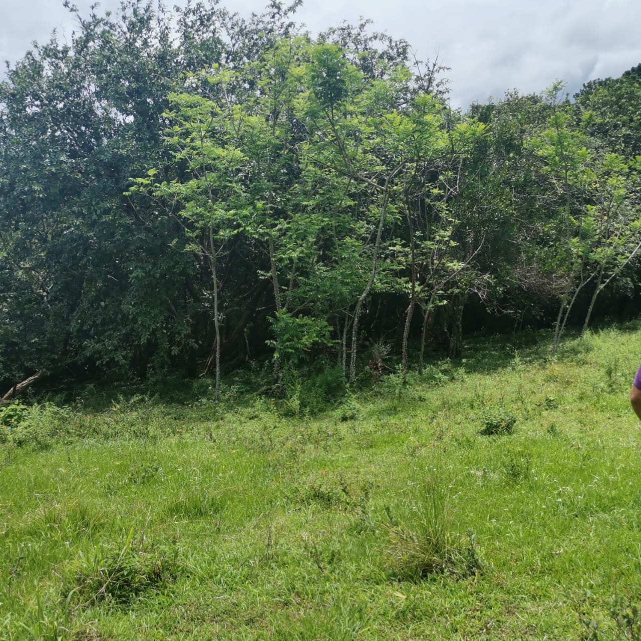 Large, Lake and Volcano View Parcel with Modest Tico Home and LAKE ACCESS  photo 36