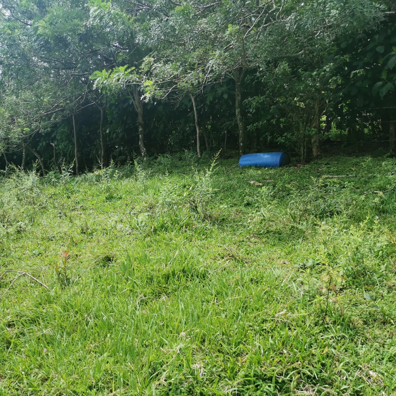 Large, Lake and Volcano View Parcel with Modest Tico Home and LAKE ACCESS  photo 30