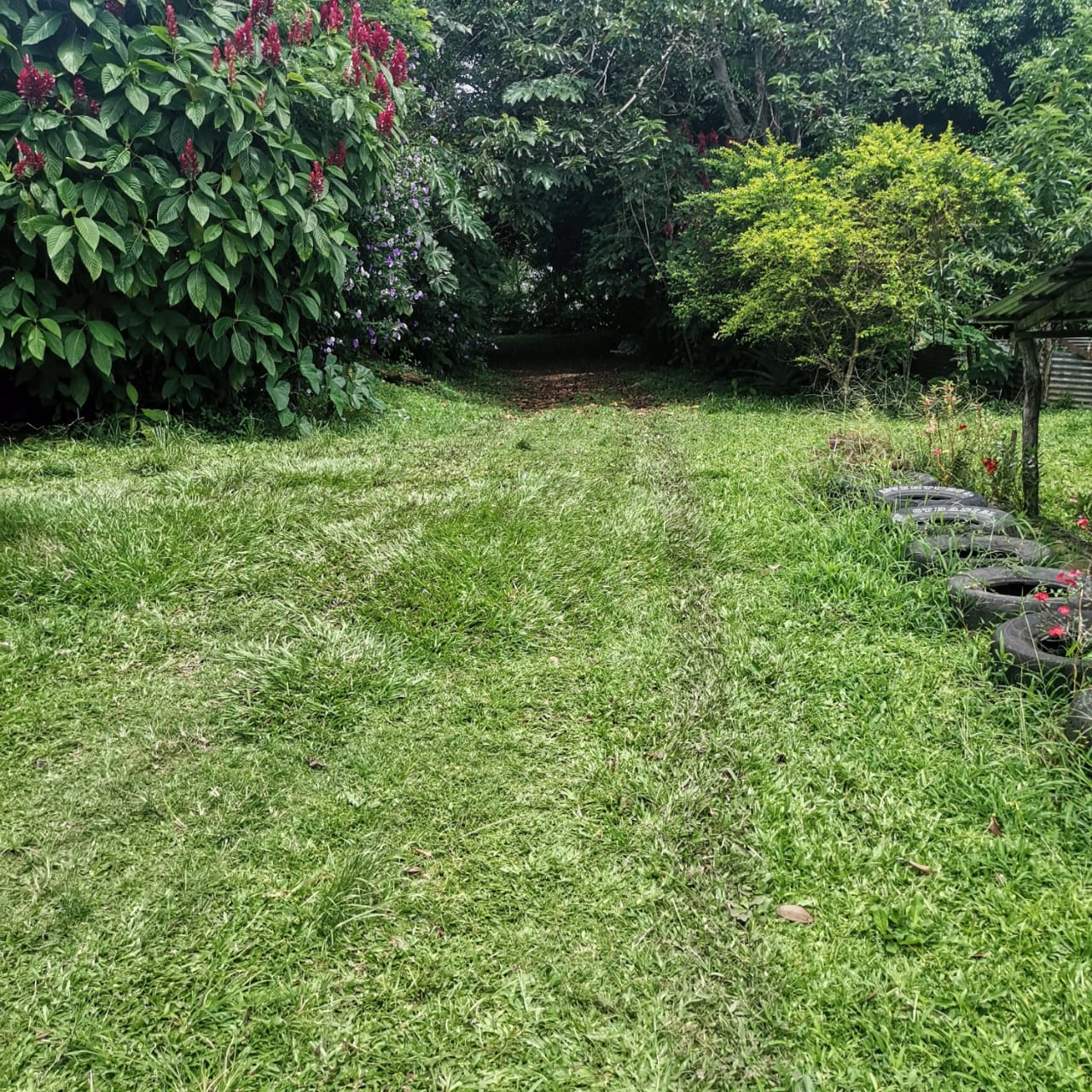 Large, Lake and Volcano View Parcel with Modest Tico Home and LAKE ACCESS  photo 25