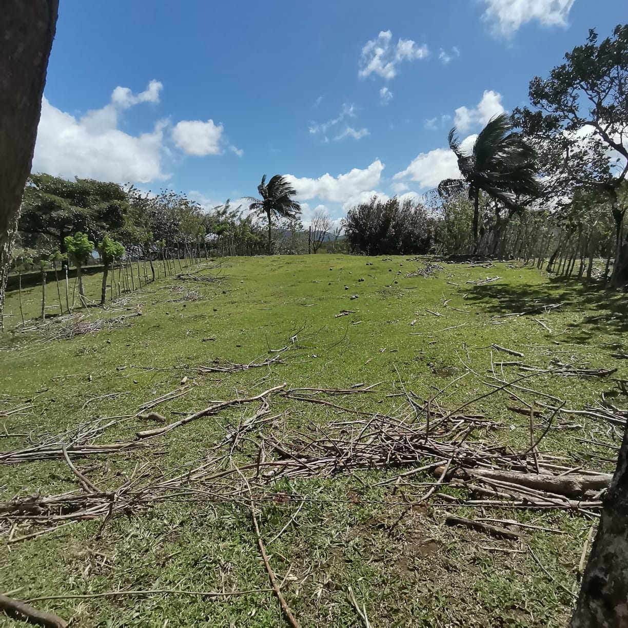 12,510 M2 (3.09 acre) LAKE VIEW Property with Volcano Views in Tronadora  photo 7