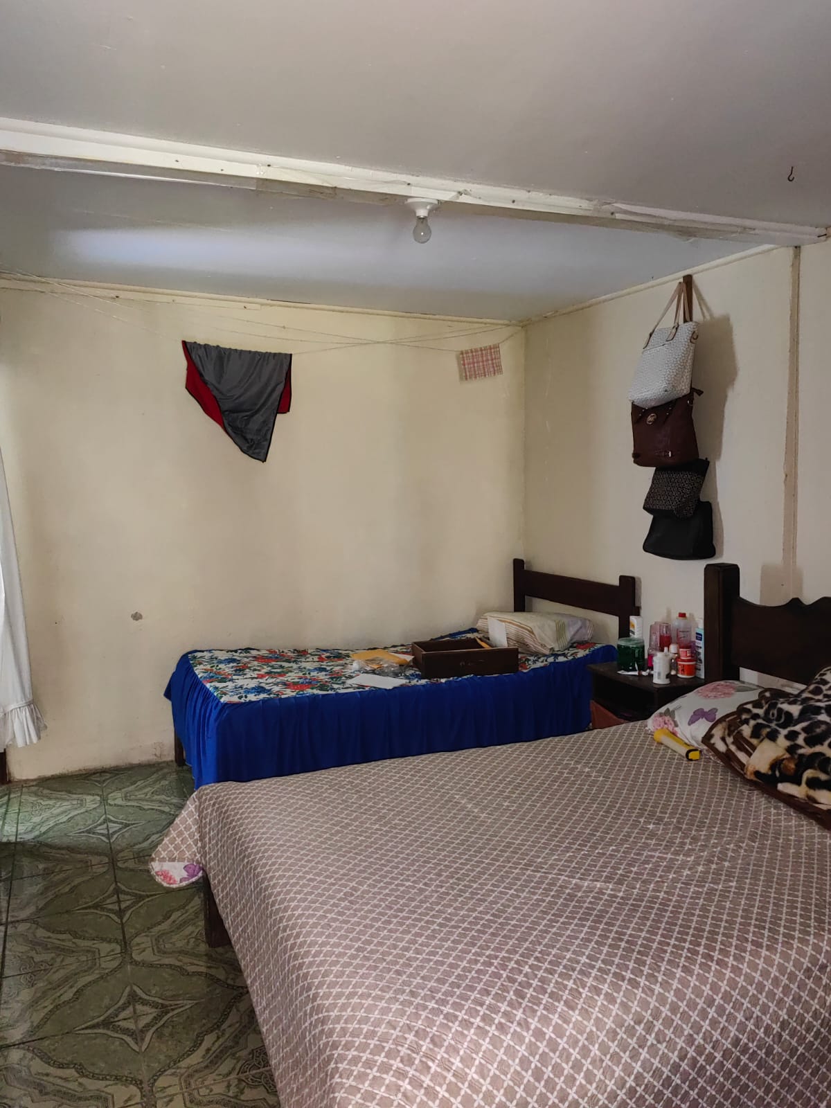 11,800m2 Producing Fruit Farm with Private Well + Modest Tico Home  photo 68